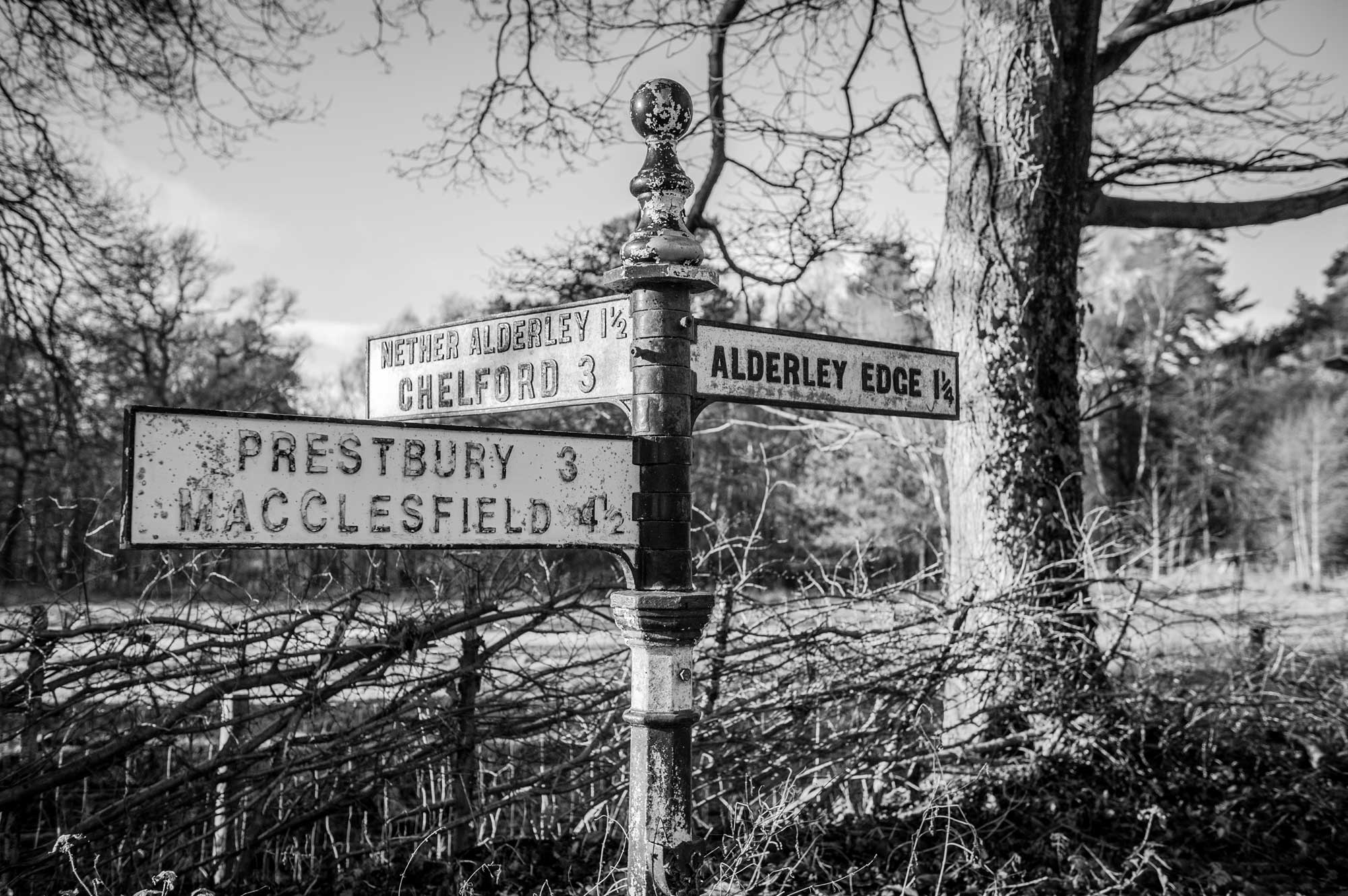 Cheshire