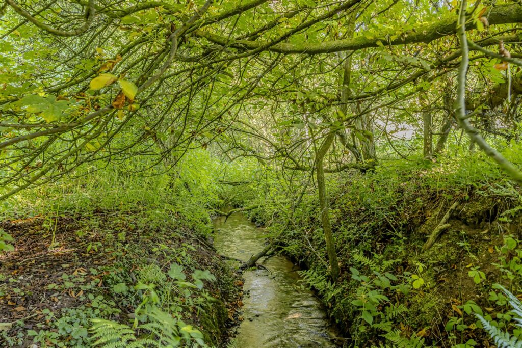 Old Furnace Farm, Oakamoor, Stoke-On-Trent