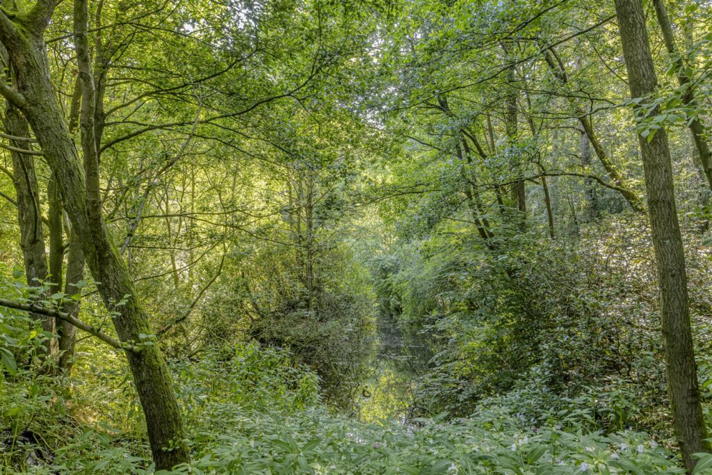 Old Furnace Farm, Oakamoor, Stoke-On-Trent