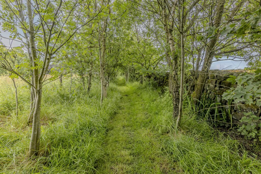 Little Blakelow Farm, Bottom Lane, Ipstones, Staffordshire, ST10 2LN