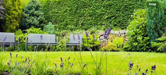 Bluebell House, Cheddleton Road, Leek, ST13 5QZ